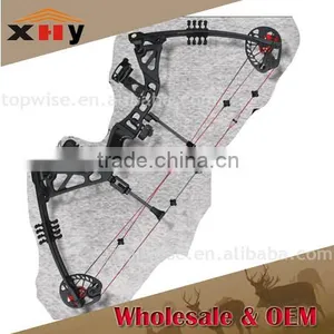 China Archery 310fps Compound Bow for Sale thumbnail-2