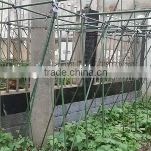 Garden Plants Shelves thumbnail-1