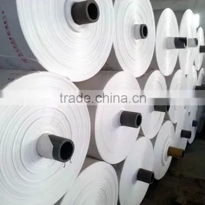 PP SACK Raw Material PP Woven Bag Fabric Rolls thumbnail-2