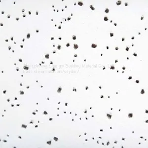 Airport, Subway, Library, Museum, Factory Building Mineral Fiber Ceiling/Board thumbnail-3