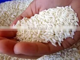 Japonica Medium Rice 5% Broken - High Quality GOOD FOR HEALTH thumbnail-1