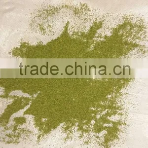 MORINGA T CUT LEAF thumbnail-1