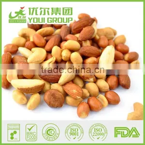 International Selling Raw Cashew Nut Prices Cheese Flavor Cashew Nuts Nuts thumbnail-4