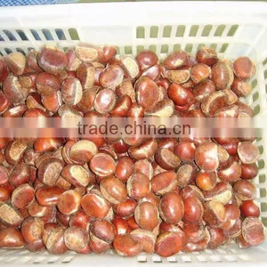 Chestnut Type Raw Chestnut thumbnail-3