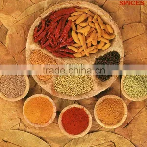 Indian Fresh Spices thumbnail-1