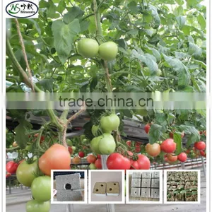 Mineral Wool Hydroponic Growing Media Rock Wool Cube for Vegetable Growth thumbnail-1