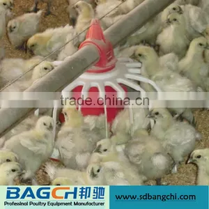 New Design Automatic Chicken Feeder Pan/ Feeding System for Poultry thumbnail-5
