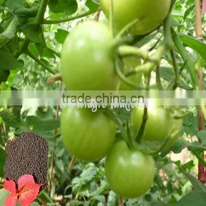 Chelated Humic Acid Particles thumbnail-1