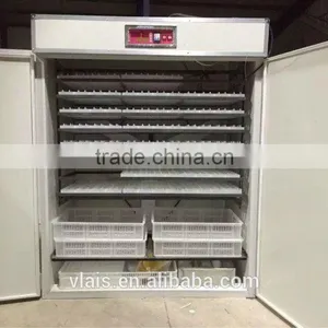 Solar Eggs Incubator 1056 Chicken Eggs Incubation Equipment thumbnail-3