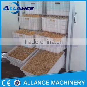 Low Price 100kg/day Hydroponic Fodder Sprouting Machine thumbnail-4
