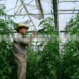 Tomato Pollination Tool,Tomato Pollinators thumbnail-1