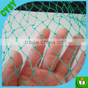 Green Polyethylene Anti-bird Net /plastic Net in Caton Packing thumbnail-2