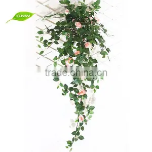 GNW FLV11 Calendula Flower Orange Blossom Flower Balloon Flower Root Extract thumbnail-2