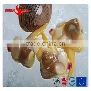 Frozen IQF Surf Clam Meat Gutted thumbnail-3