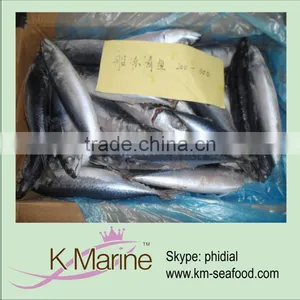 Sea Frozen Mackerel Whole Round thumbnail-1