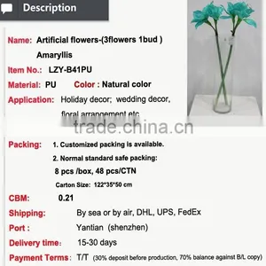 Cheap Wholesale Large Amaryllis for Halloween Arrangement thumbnail-2