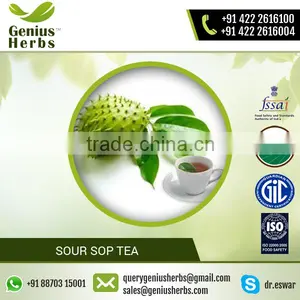 Top Selling High Grade Sour Sop Tea From Best Herbal Supplier thumbnail-1