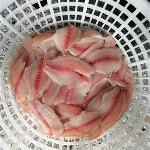 Frozen Tilapia Fillet thumbnail-2