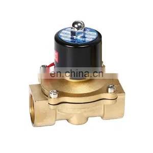 SNS 2W250-25 1 Inch Solenoid Valve With Normally Closed Dc12v Dc24v Ac220v thumbnail-1