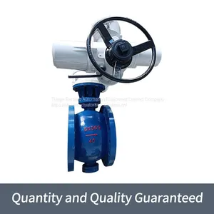 Return Transition Ball Valve Electric Actuator IQ18 Intelligent Valve Electric Device thumbnail-1