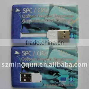 Card USB USB Drive thumbnail-1