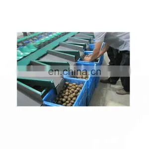 Fruit & Vegetable Sorting Machine thumbnail-1
