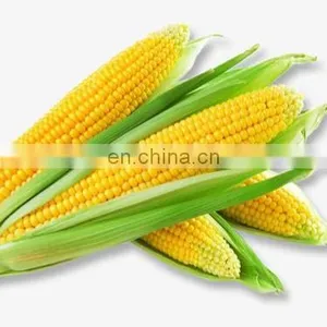 Maize Peeling Machine/maize Sheller/corn Thresher thumbnail-1