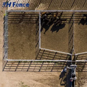 Heavy-Duty Cattle Panel System: Fully Welded & Galvanized for Unbreakable Livestock Containment & Security thumbnail-2
