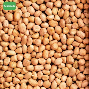 Premium Natural Red Skin Round Shelled Peanut Kernels 50/60 for Snack Manufacturing thumbnail-2