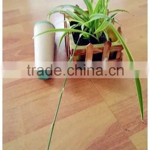 Polyester Yarn With Plastic Cone Yarn With Latest Technology thumbnail-4