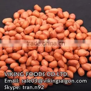 RAW PEANUTS KERNEL/GROUNDNUTS_VIETNAM_HIGH QUALITY thumbnail-2