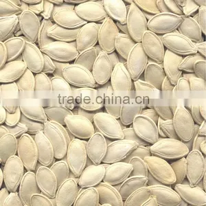 10mm up Yellow Color Shine Skin Pumpkin Seeds thumbnail-1