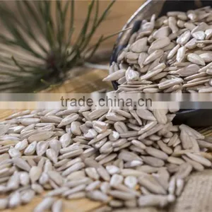 Hulled Sunflower Kernels Confectionary Grade and Bakery Grade thumbnail-1