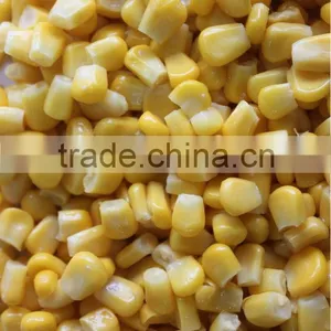 IQF Frozen Yellow Sweet Corn Kernels thumbnail-5