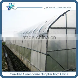 Cheap Single Span Plastic Greenhouse for Agriculture thumbnail-1