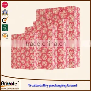 Paper Gift Bag/wine Paper Bags/woman Clothing thumbnail-3