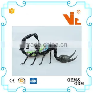 V-AM050 4D MASTER Scorpion Specimen Anatomical Model for Teaching thumbnail-3