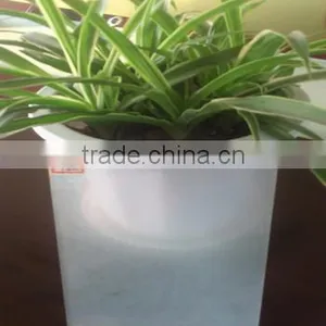 8.0mm Frosted Glass/tempered Glass With Good Quality for Sale thumbnail-1