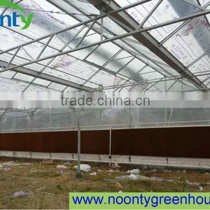Greenhouse for Tomato thumbnail-1