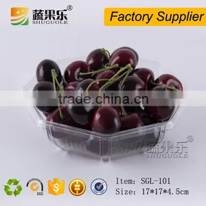 Blister Process Type Clear Plastic Blister Tray for Food Packaging thumbnail-2