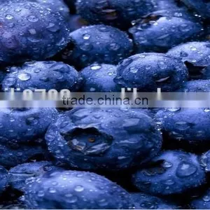 Frozen Blueberry Fruit--iqf Blueberries Wild Fresh Blueberries Wholesale thumbnail-1