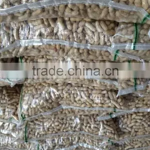 Peanuts in Shell 7-9,9-11,11-13 Specification thumbnail-6