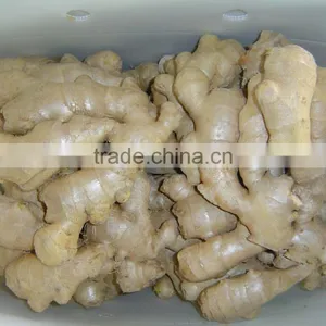 Fresh Air Dried Ginger thumbnail-2