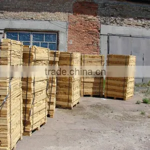 Timber Framing thumbnail-1
