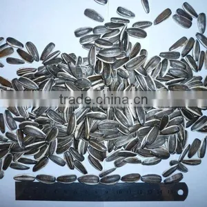 New Crop Chinese Sunflower Seeds 5009,5135,20/64,22/64,24/64 thumbnail-1