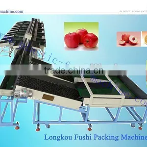 Double Line Electronic Fruit Grading Machine thumbnail-1