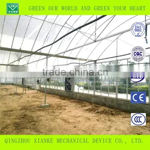 Factory Supply Bottom Price PC Sheet Cover Tunnel Greenhouse thumbnail-2