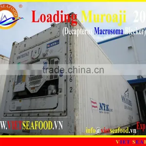 LOADING MUROAJI FOR TUNA BAIT thumbnail-1