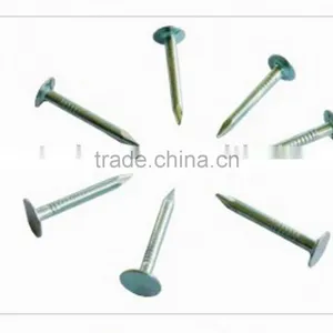 CUPPER NAIL thumbnail-1