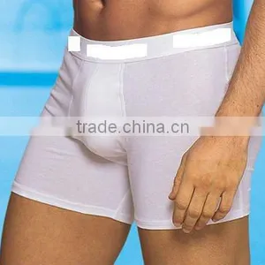 Boxer thumbnail-1